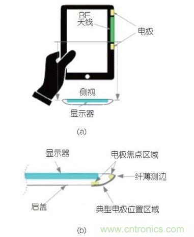 (a)側剖視圖描述；(b)電極焦點區域描述