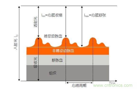 PPG測(cè)量中檢測(cè)器信號(hào)的產(chǎn)生。照射皮膚的光線(I0)被靜脈血或動(dòng)脈血吸收，或反射回檢測(cè)器。信號(hào)的變化分量對(duì)應(yīng)著與心跳同步變化的動(dòng)脈血流量。這個(gè)信號(hào)的變化周期指示了脈率。最小和最大檢測(cè)器信號(hào)的比值(光電流Imin/Imax)為判斷血氧飽和度提供了依據(jù)。