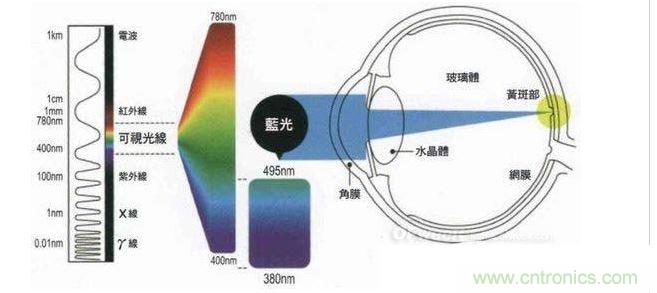 短波高能藍光引起視網膜色素上皮的萎縮