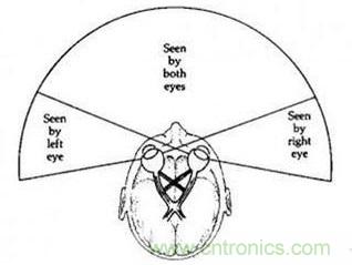 雙目重疊技術(shù)在VR中有什么作用？