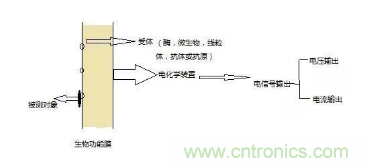 仿生傳感器的定義、原理、分類及應用