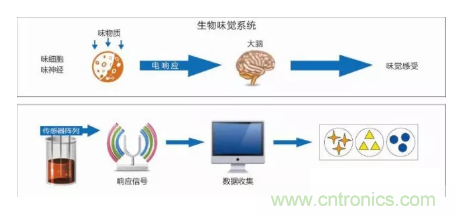 仿生傳感器的定義、原理、分類及應用